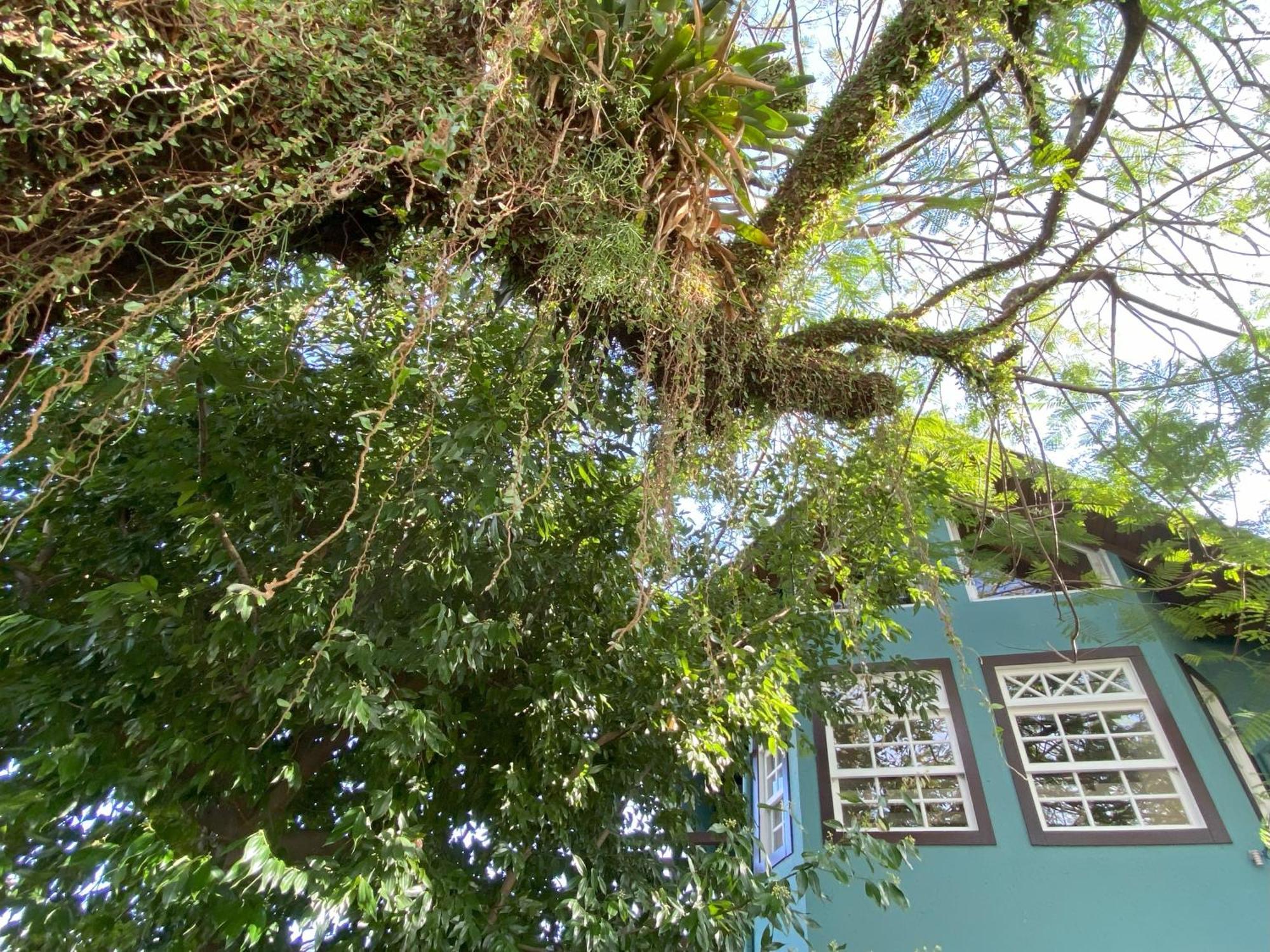 Solar Das Petalas Guest House Florianópolis 외부 사진